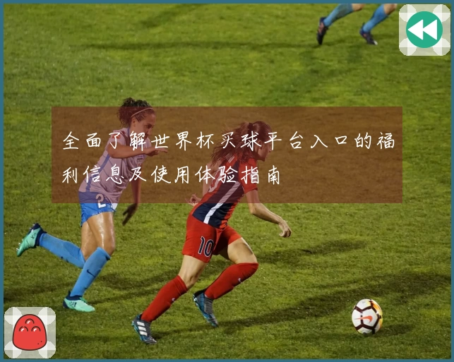 全面了解世界杯买球平台入口的福利信息及使用体验指南
