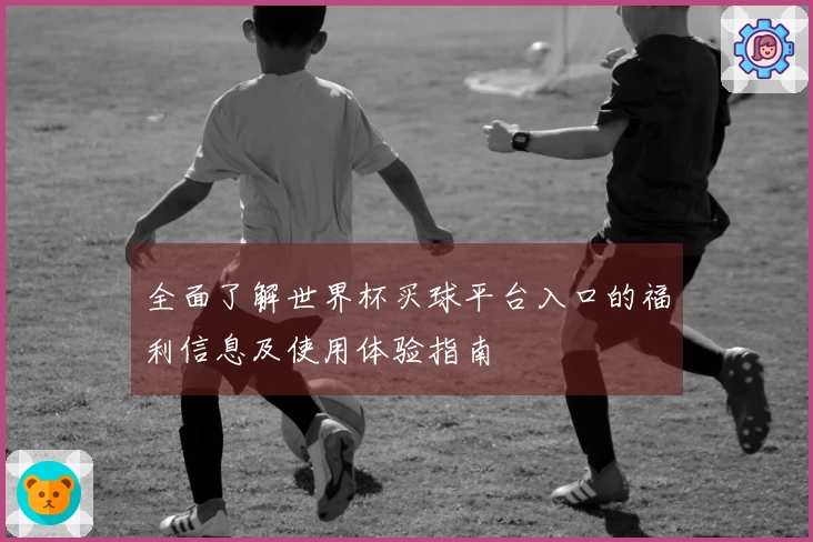 全面了解世界杯买球平台入口的福利信息及使用体验指南