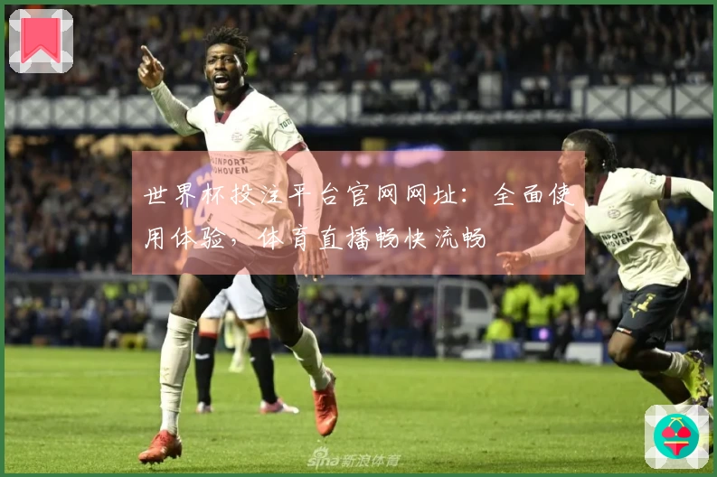 世界杯投注平台官网网址：全面使用体验，体育直播畅快流畅