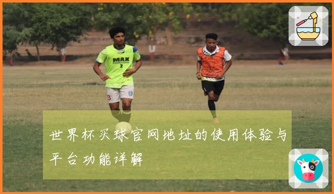 世界杯买球官网地址的使用体验与平台功能详解