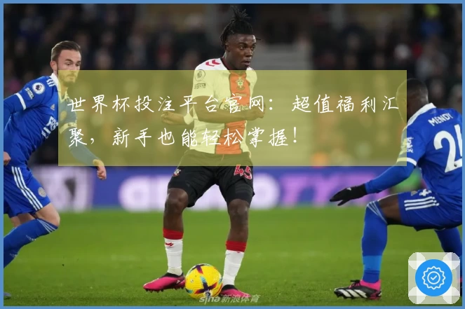 世界杯投注平台官网：超值福利汇聚，新手也能轻松掌握！